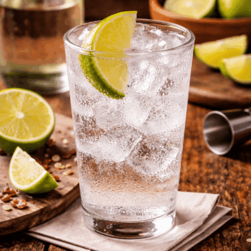 Classic Gin and Tonic